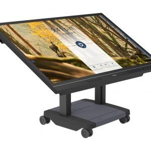 PROWISE CARRELLO IPRO TODDLER LIFT