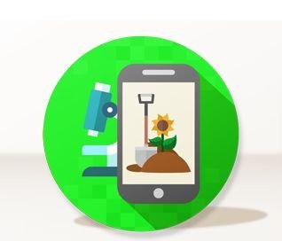 Edugreen laboratori di sostenibilità per il primo ciclo