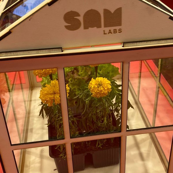 Edugreen laboratori di sostenibilità per il primo ciclo