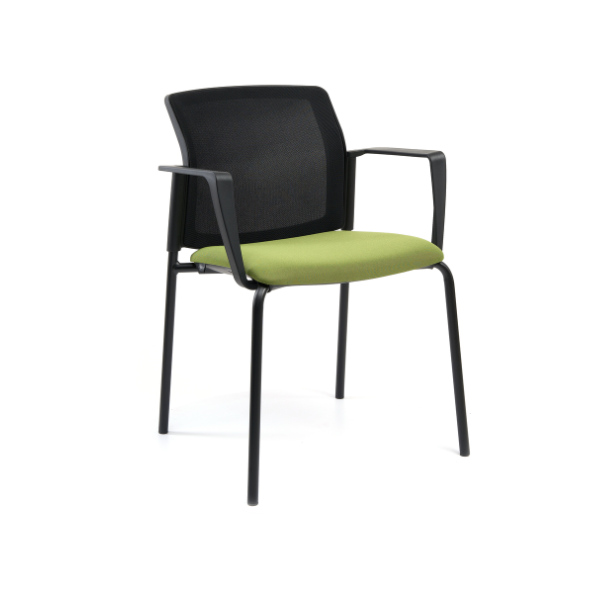 Sedia Meeting Tennessee