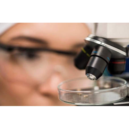 Laboratorio di Biologia