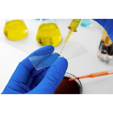 Laboratorio didattico di Analisi degli alimenti