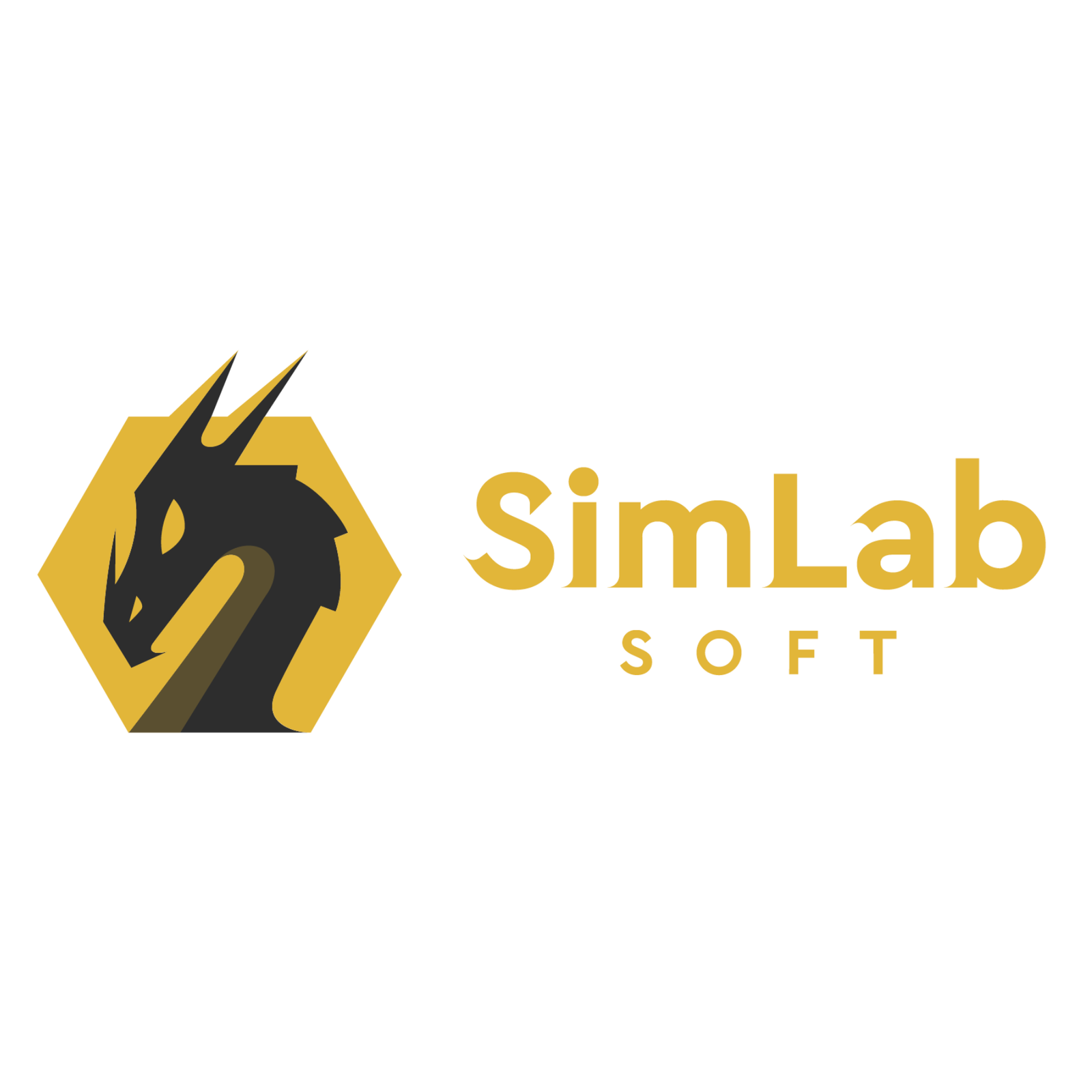 Licenza Simlab Composer V12 Pro _ utilizzo perpetuo